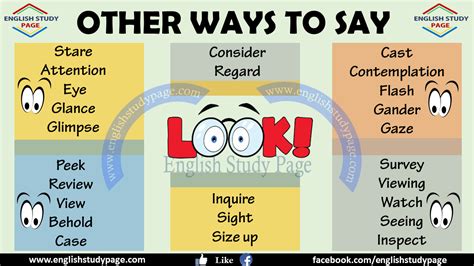 words to use instead of look.